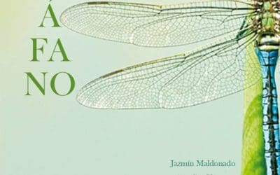 Cuerpo Di&aacute;fano